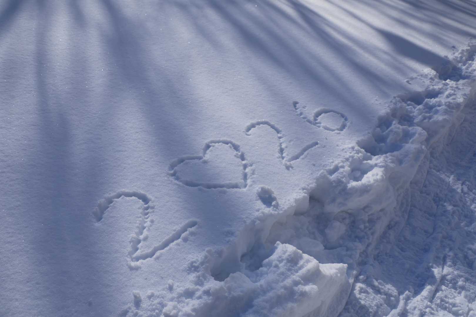 誰かさんの２♡２６
2026年の冬もここに来られたことに感謝します