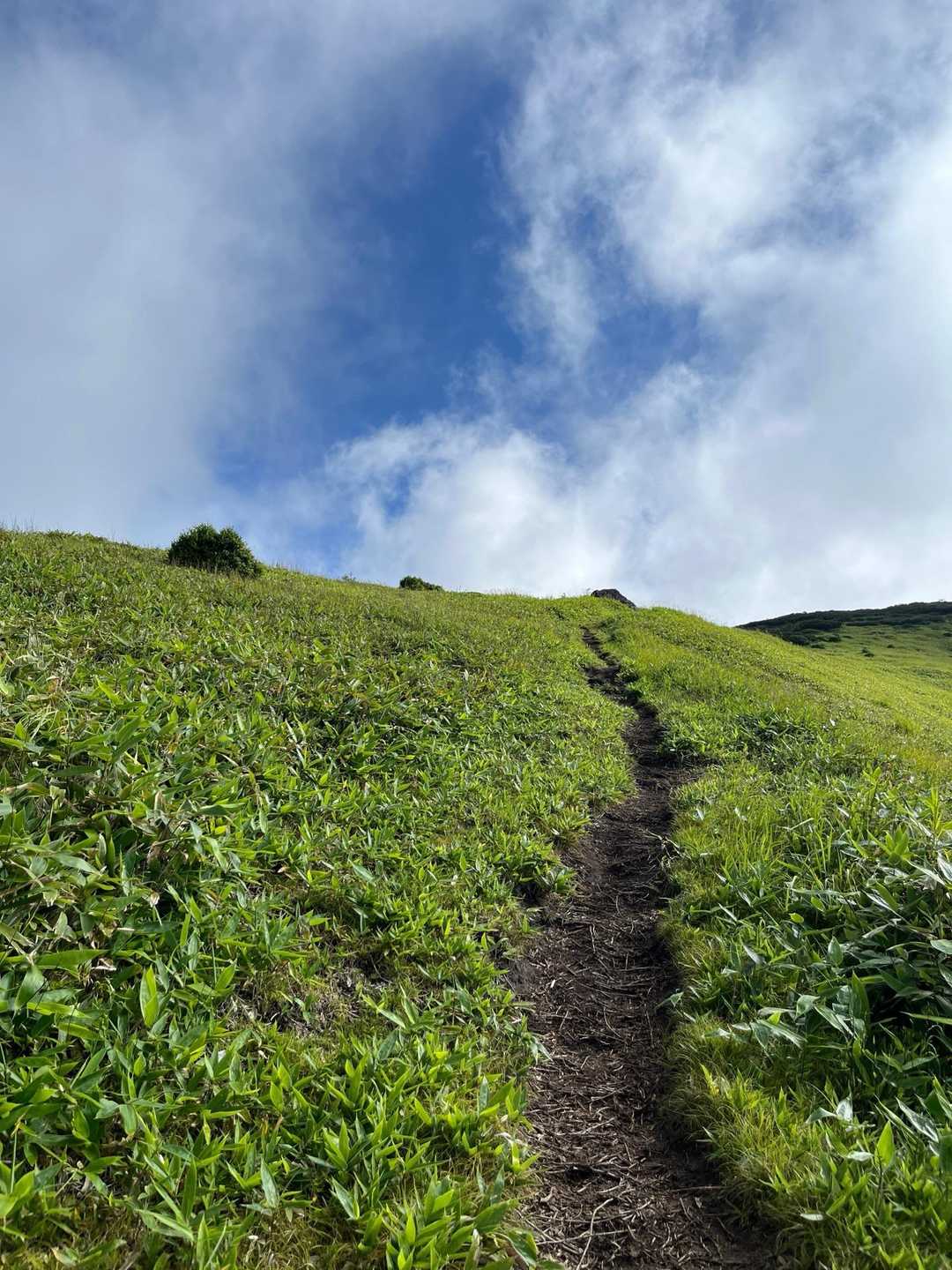 毛無山への道は草原の中を行くようです。