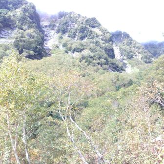 紅葉の始まりを感じる山の色です