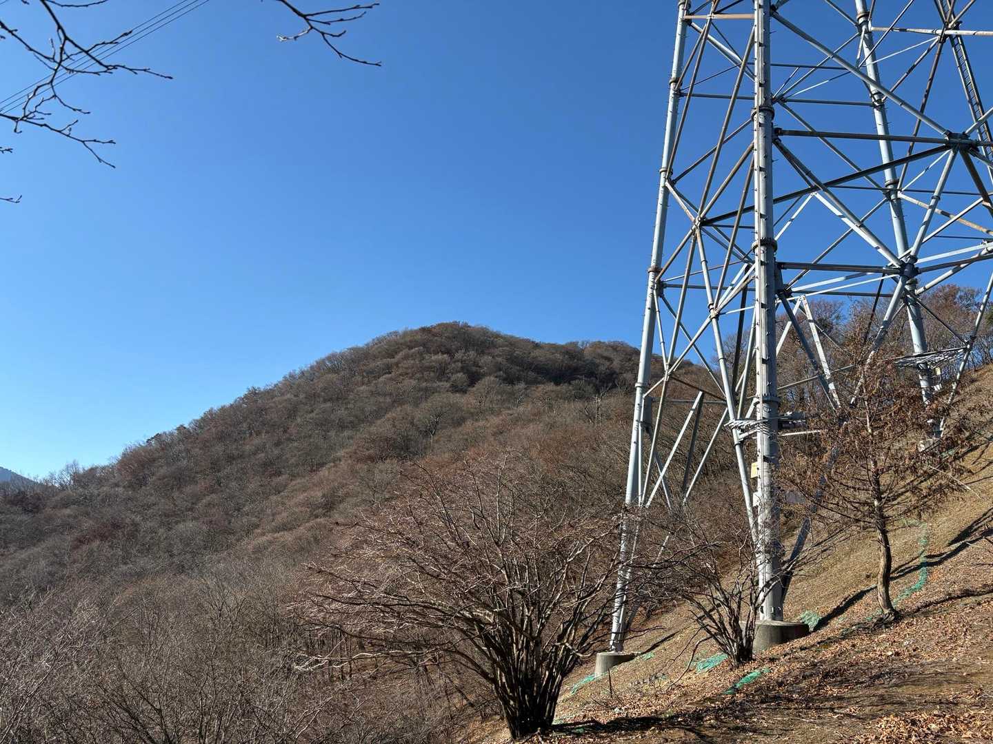 本社ヶ丸かな？