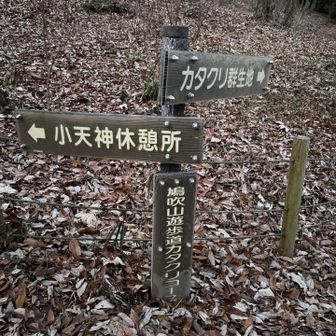 今日も飽きもせずカタクリコースからお邪魔しまーす😆