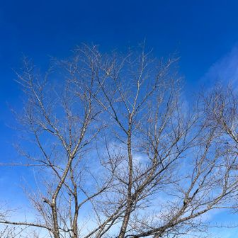 青空になってきた☀️😆