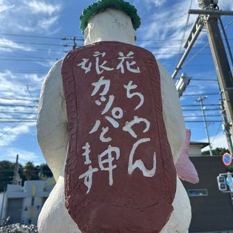 花ちゃん。娘カッパ🥒
女の子なら服着てーーー🤣