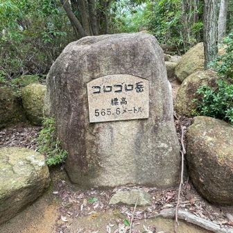 △565.6mでゴロゴロ岳説もあるそうです
芦屋川駅からここまで誰にも会いませんでしたが
急に別荘地に出て､石碑があり
やっとハイカーさん達がいらっしゃいました
