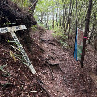 ここが下山予定ルートの分岐点。
通行止の看板出てますが・・・