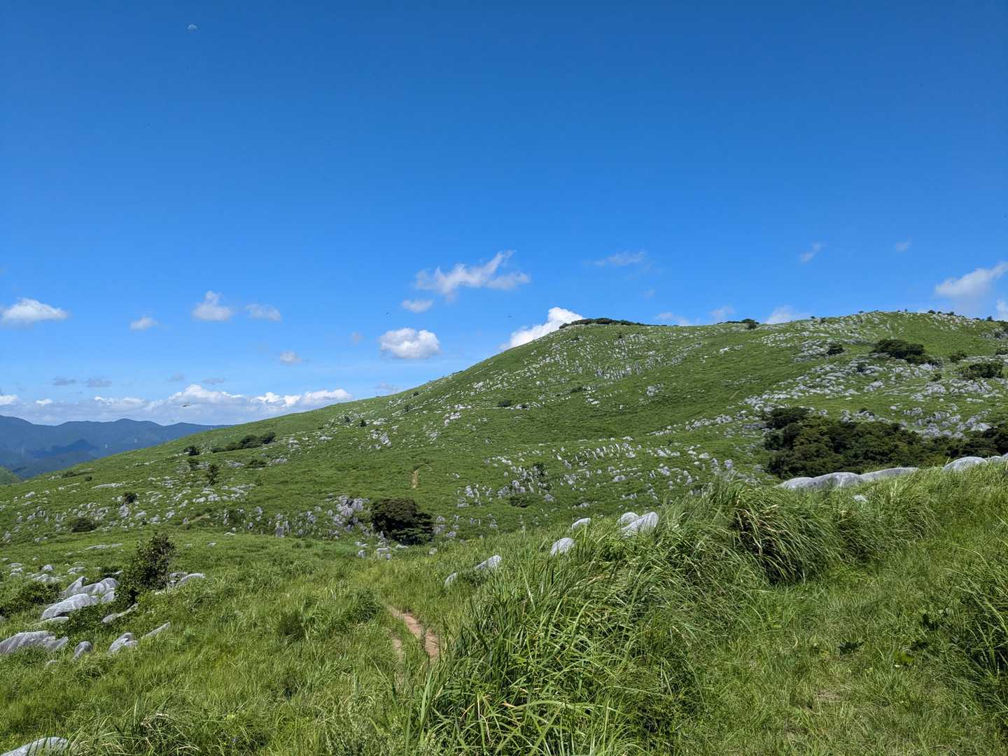 大平山-中峠 周回コースの写真