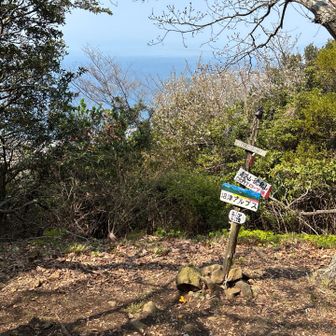 小鷲頭山山頂。