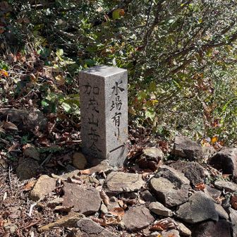水はいっぱい持ってきた