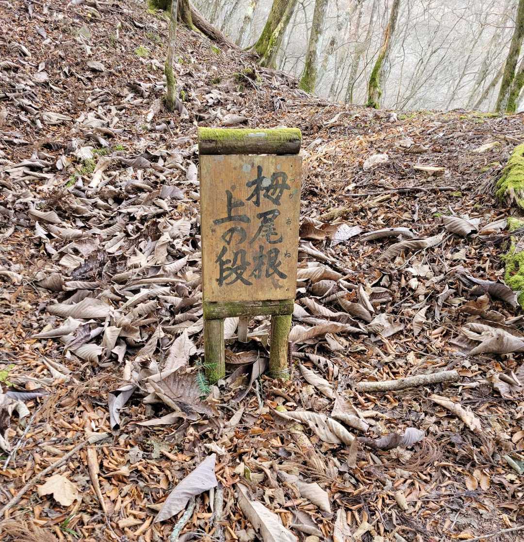 上まできました👍