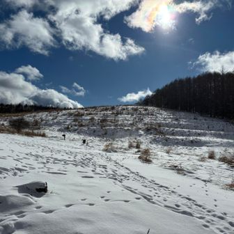 さぁ気合いだぁ💪ファイト‼️