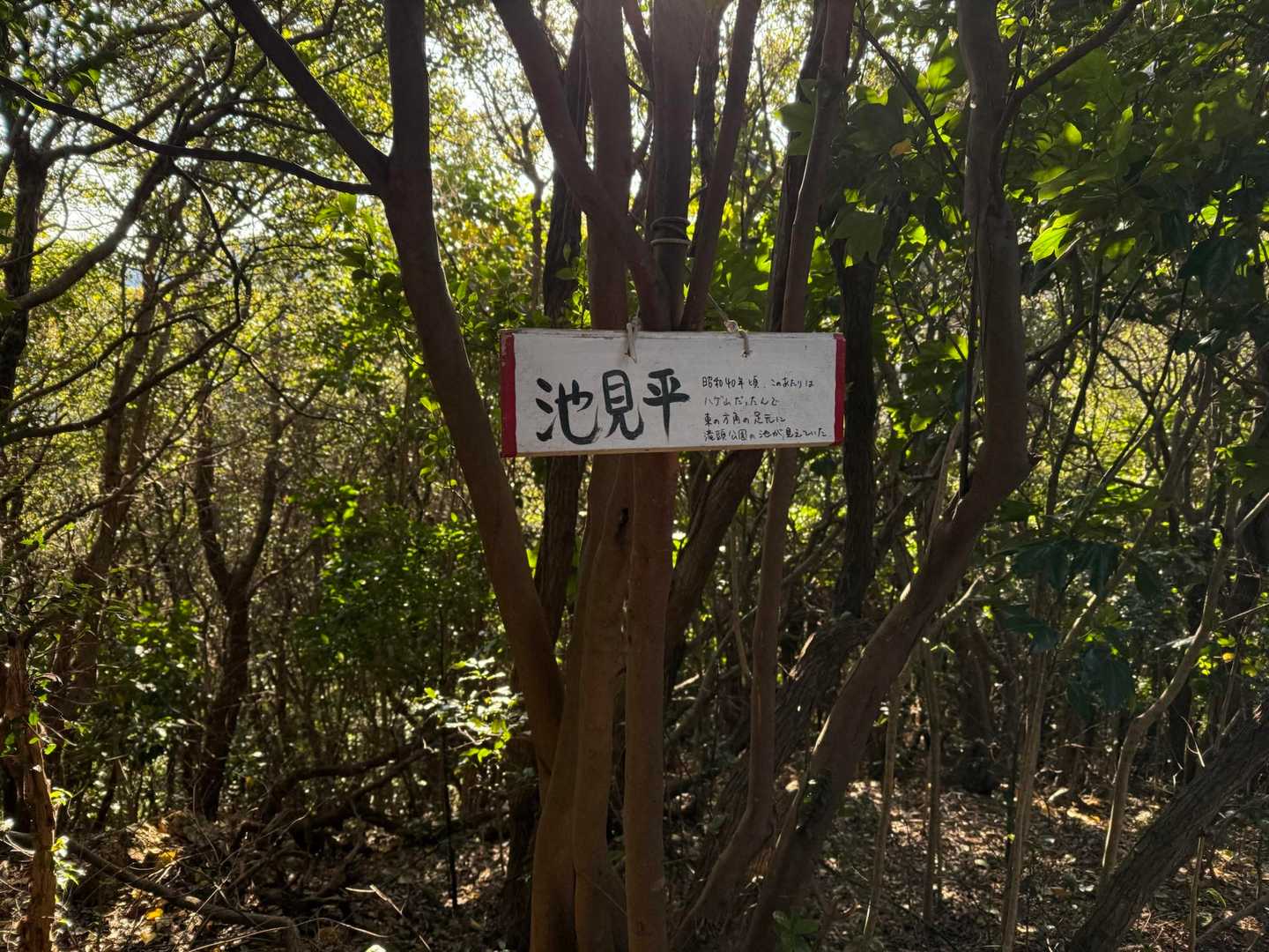 滝頭公園登山口-小衣笠の道登山口-衣笠山-滝頭山 周回コースの写真