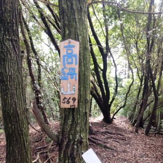 高鍋山山頂　569m