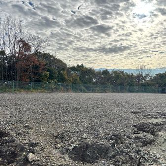 金亀山の山頂も、なーんもなかった。きんきざんと読むのか、こんきざんなのか。