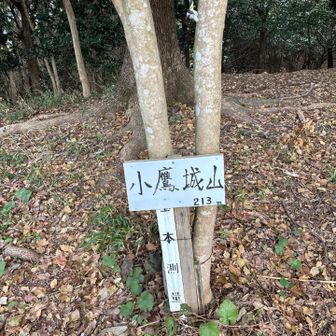 まず小鷹城山いただき⛰️