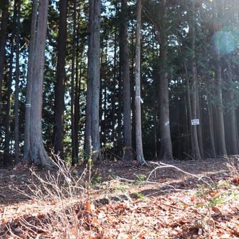 ようやく一つ目のピーク。