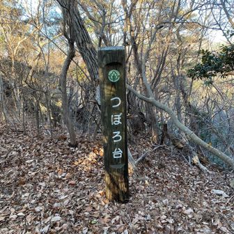 行ってみよー！！オー💪🏻💪🏻
（Mサップさんのちょっとパクりましたー！笑）