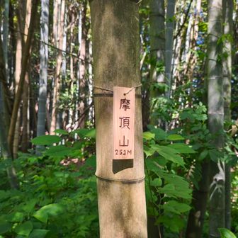 摩頂山