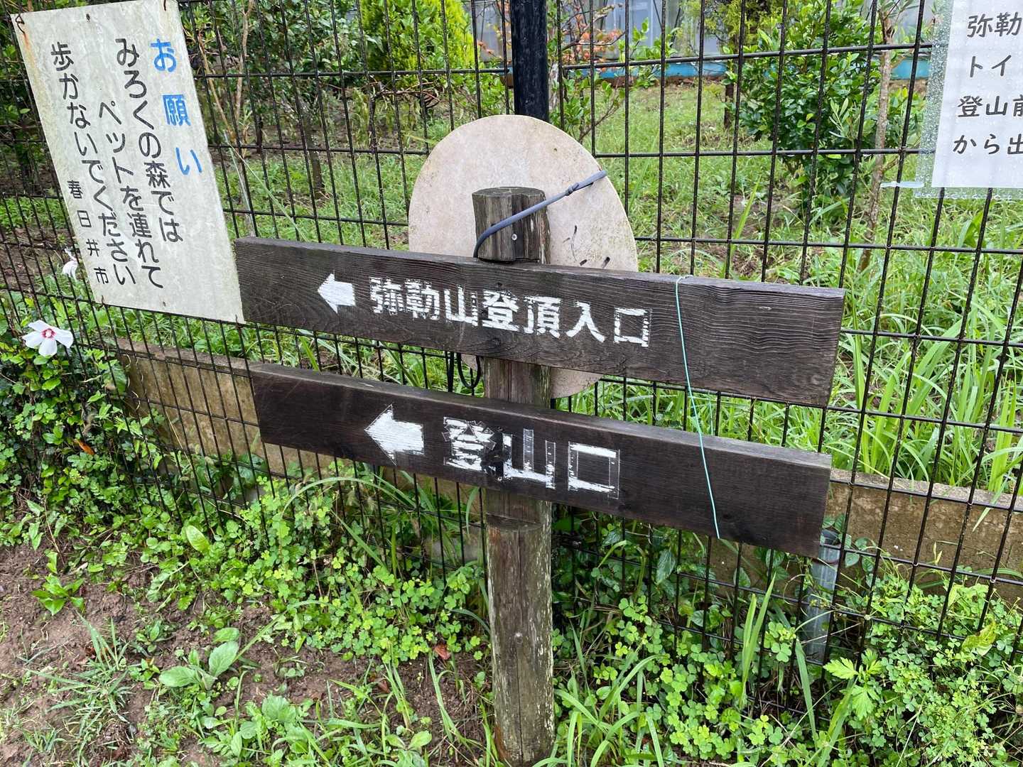 今日はココから登ります。