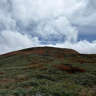 佛生池小屋の裏側からオモワシ山の紅葉を眺める🍁
欲を言えばもう少し青空が…😆