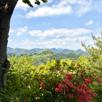 大六天からの眺め
手前のツツジが鮮やか🌺