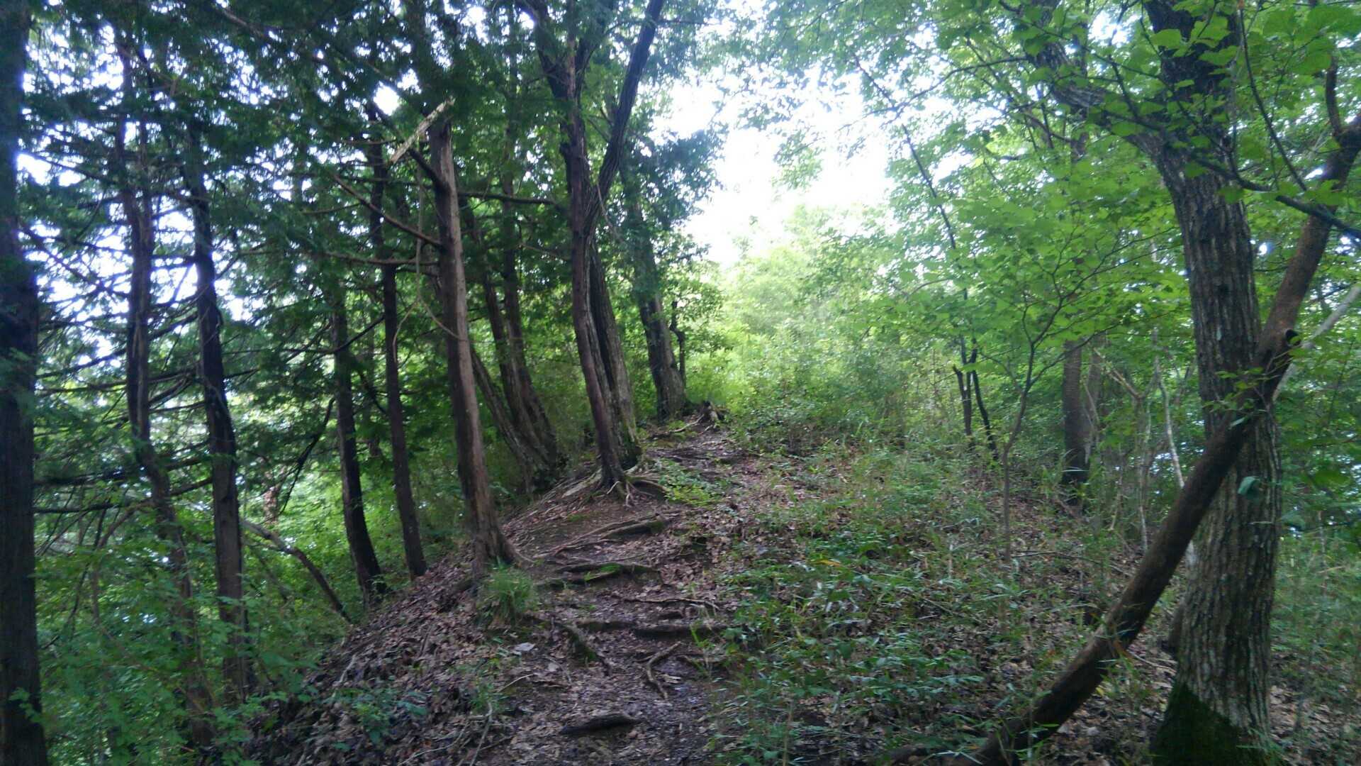 オキ山の写真