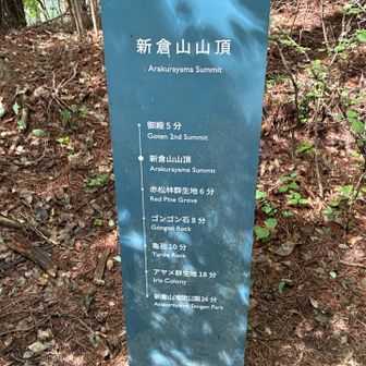 今回の山頂プレートはこんな感じ。