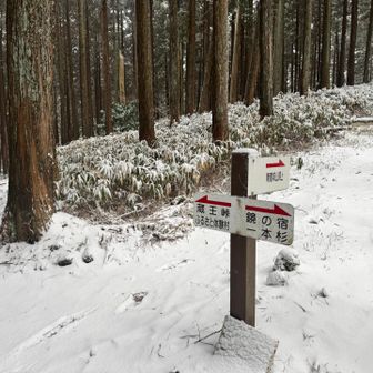 山頂寄らずに下山します　🚶