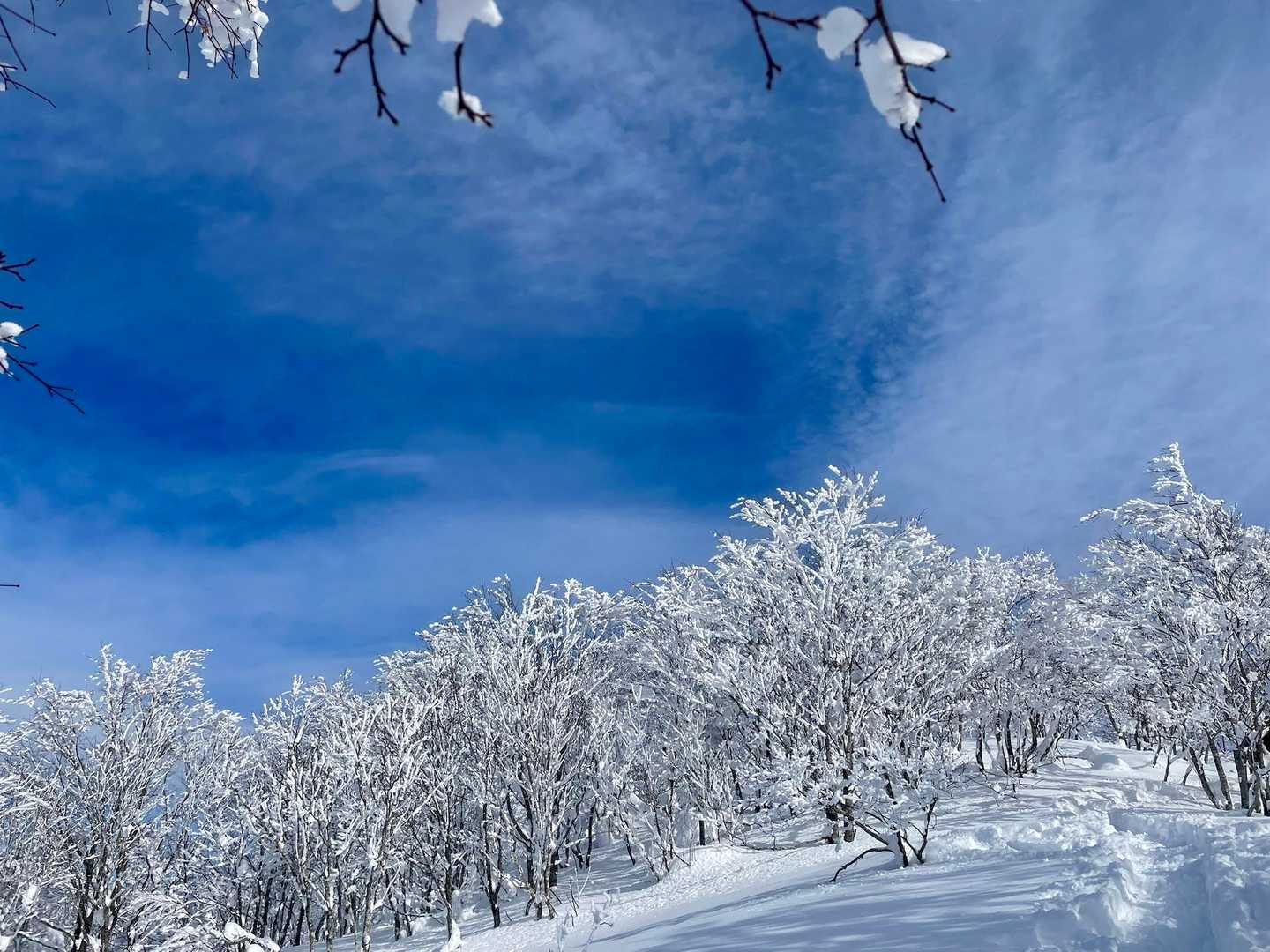 これこれ
これが見たかった
青空と白木
…🤤