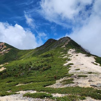 天狗岳（西天狗岳）・東天狗岳・根石岳 / KURUMIの登山データ | YAMAP