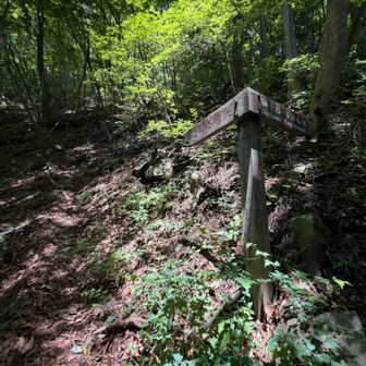 ⬅️「この先危険」へ入ってく