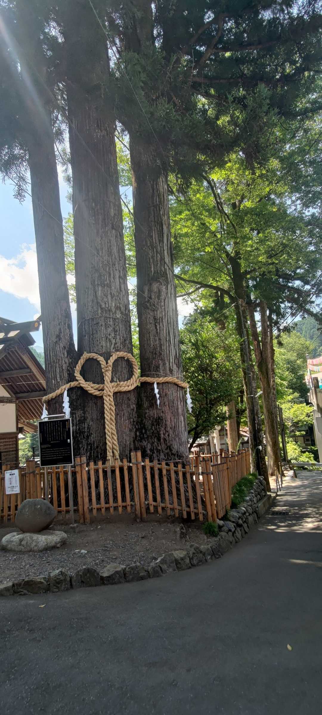 氷川神社の横を通る