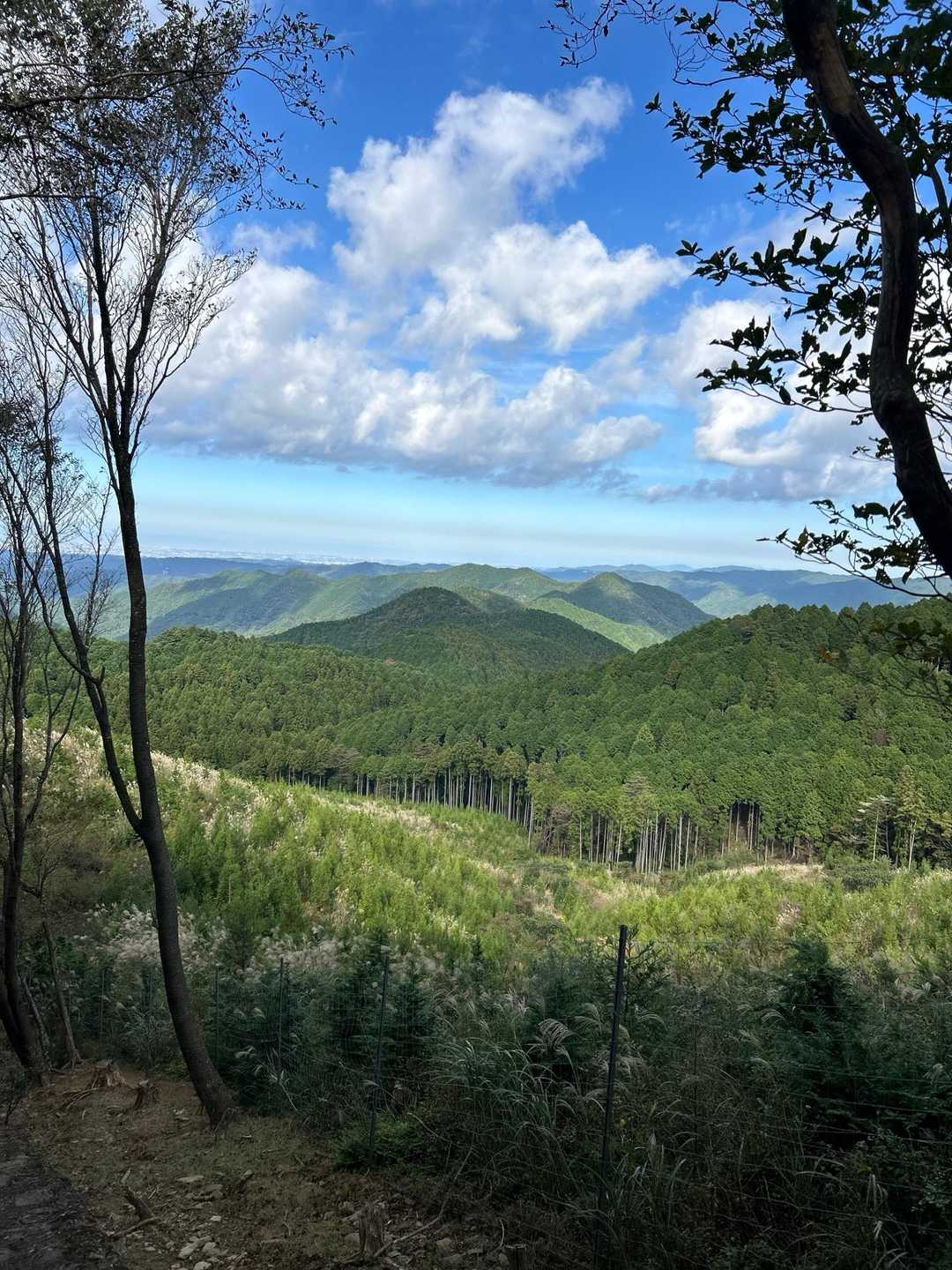良い景色🏞️