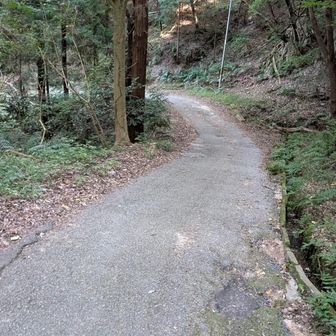 膝を壊しにくる坂