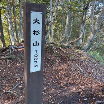 大杉山 1007m
ここまで、急な登り一辺倒でしんどかった。
大杉山は遠かった。
おおすぎ山ではなくて、とおすぎ山やー
と言ったら、受けました。😅
