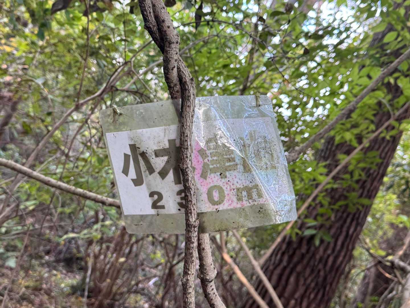 山頂に山名板無かった⁉️
こんな場所に
吹き飛ばされてしまったのかなぁ〜