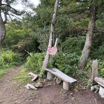 大平展望台