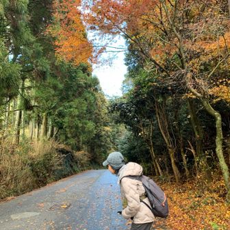 まだ紅葉残ってたね〜🍁