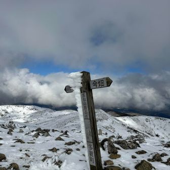 まずは霊仙山の最高点✨