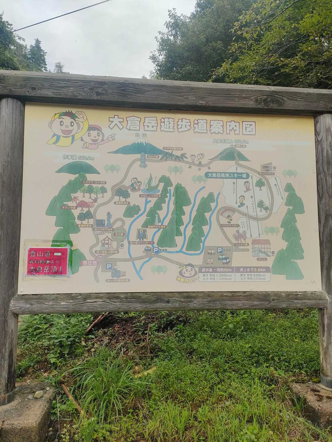 スタート