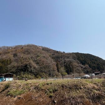 下りてきました