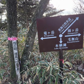 前回は　本栖湖を周回したので
今日は　雨ヶ岳・毛無山へ