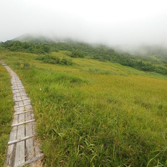 五輪湿原