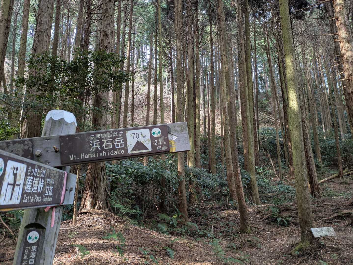 やっと「あと２キロ」
ここまで８キロほどですが、眺望もない道が長く感じます。
こんなこと言っちゃいけないけど、、、
飽きました…。
