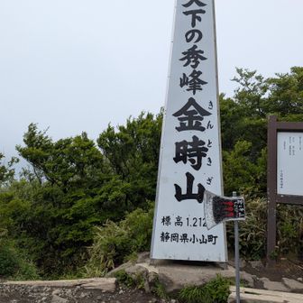 ガスの中に富士山🗻