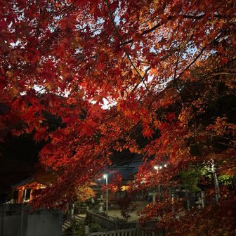 日が暮れてました🙂