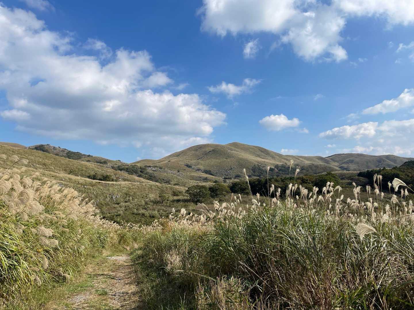 振り返り雄大な景色です♪帰りのルートはとても歩きやすく意外と早く下山できました😊