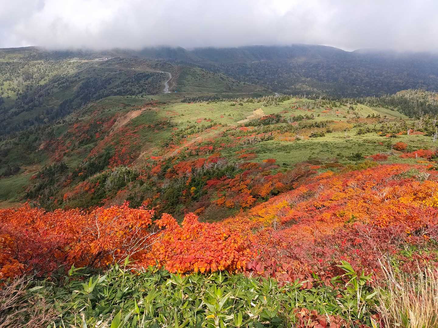 八幡平山頂方面♡