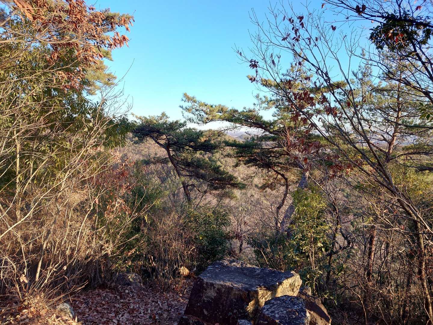 山頂からの眺め