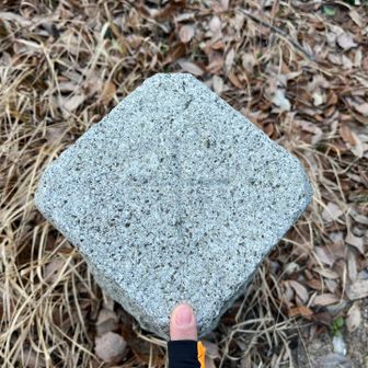 ねこは  三角点ハンターの  やくめを  はたした