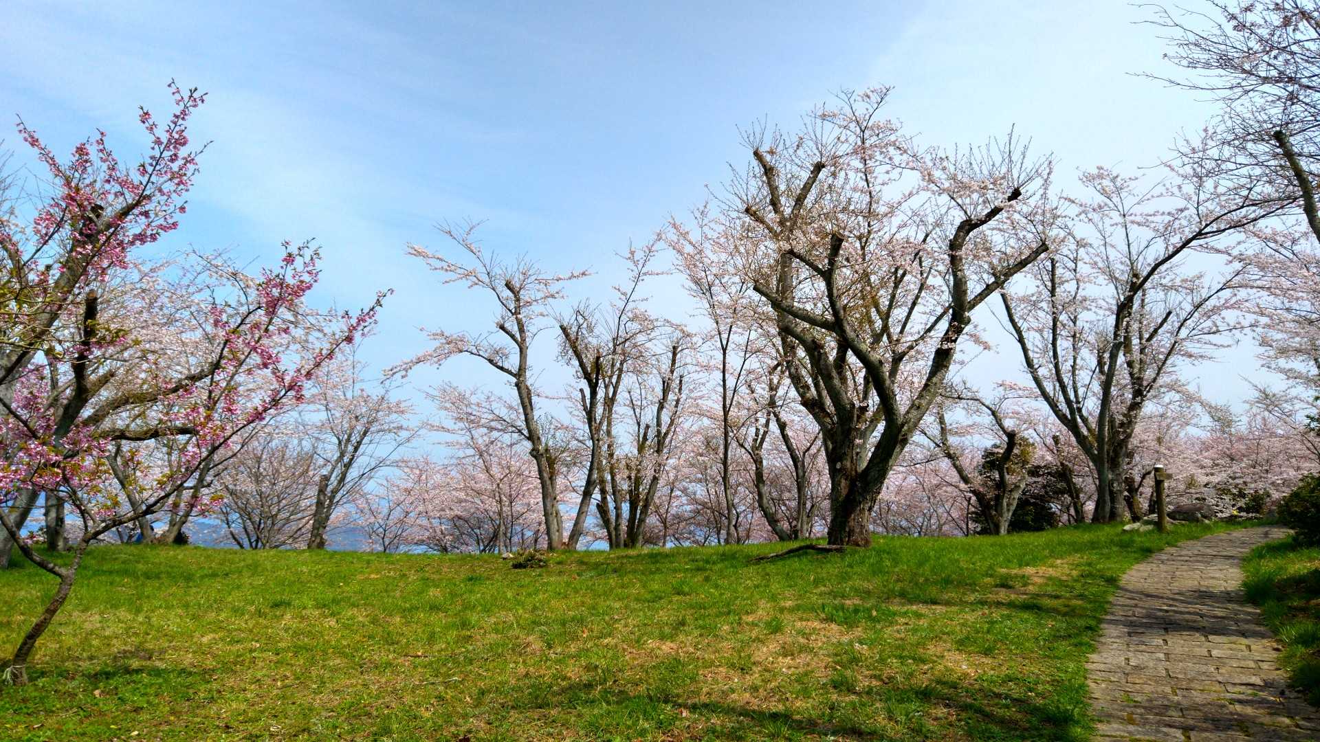 山頂に到着😃

ここに来るのは１年ぶりか〜🤔
早すぎや（笑）